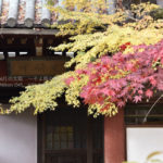 ［6］お寺の朱色と紅葉の赤と黄色の相乗効果！！