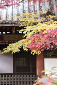 ［6］お寺の朱色と紅葉の赤と黄色の相乗効果！！