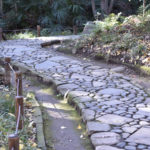 ［6］時には下を向くこともあるけど、それも楽しみに変えて！