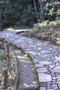 ［6］時には下を向くこともあるけど、それも楽しみに変えて！