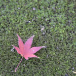 ［6］日本庭園から眺めた洋館の姿