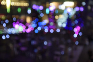 ［6］玉ボケの美しさ！