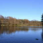 ［6］寒さを一層感じる冬の公園