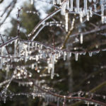 ［6］寒さが創りだす自然の造型美、樹氷