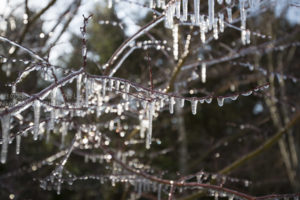 ［6］寒さが創りだす自然の造型美、樹氷