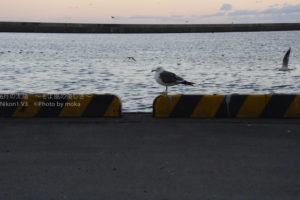 ［6］一時の休息