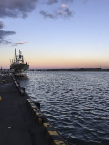 ［6］2015年の船出！