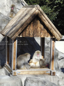 ［6］休日は家の中で家族団らん