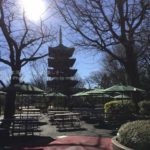 ［6］上野動物園から見える五重塔のシルエット