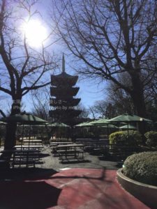 ［6］上野動物園から見える五重塔のシルエット