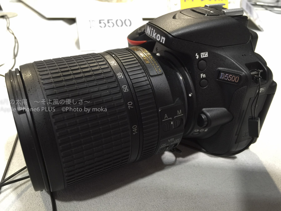 【コスパ抜群】Nikonの入門一眼レフカメラ D5500