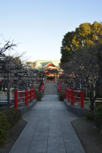 ［6］生まれ故郷の神社、亀戸天神！！