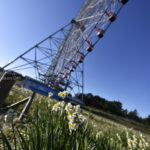 ［6］葛西臨海公園の「ダイヤと花の大観覧車」