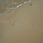 ［6］南国の足あと