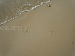 ［6］南国の足あと