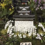 ［6］思考を凝らしたランの花のディスプレイ