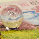 ［6］2015 CRYSTAL BALL ×　FES　− 春の恒例行事 −