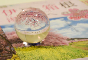 ［6］2015 CRYSTAL BALL ×　FES　− 春の恒例行事 −