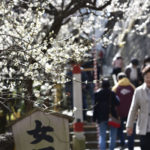 ［6］湯島天神の男坂と女坂