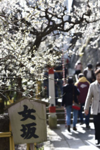 ［6］湯島天神の男坂と女坂