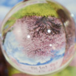 ［6］2015年の3月11日・・　ー震災から４年ー