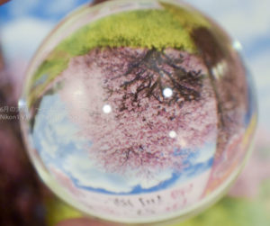 ［6］2015年の3月11日・・　ー震災から４年ー