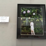 ［6］写真コンクール受賞作品の掲載