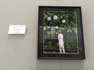 ［6］写真コンクール受賞作品の掲載