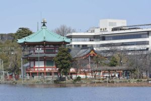 ［6］どこかサッパリした上野の不忍池