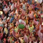 ［6］稲取温泉名物、雛のつるし飾り