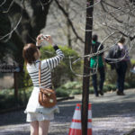 ［6］風のない春の午後　−2015年・春−