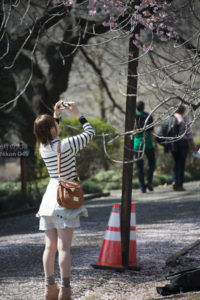 ［6］風のない春の午後　−2015年・春−