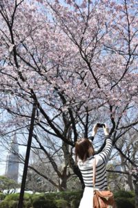 ［6］春を切り撮る