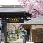 ［6］密蔵院と安行桜