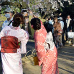 ［6］桜と着物と自分撮り