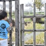 ［6］子供は何に夢中になるのか分かりません。