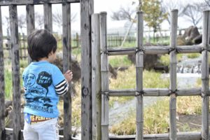 ［6］子供は何に夢中になるのか分かりません。