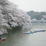 ［6］桜を見ながらボートデート