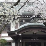 ［6］千鳥ヶ淵から花園神社へハシゴ
