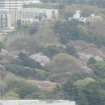 ［6］「Nikon COOLPIX P900」のズーム力