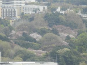 ［6］「Nikon COOLPIX P900」のズーム力