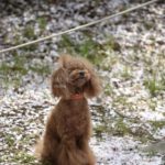 ［6］カメラを構えて、「はい、ポーズ！！」