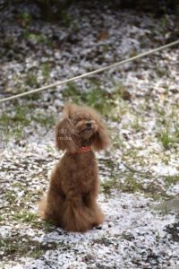 ［6］カメラを構えて、「はい、ポーズ！！」