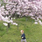 ［6］満開の桜の下で！