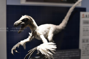 ［6］鳥の祖先の恐竜