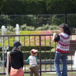 ［6］母子三世代、あったかいんだからぁ