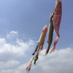 ［6］大空を泳ぐ鯉のように、自由に力強く育て！！