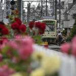 ［6］薔薇の香りただよう都電荒川線