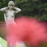 ［6］薔薇の季節恒例、セクシーショット