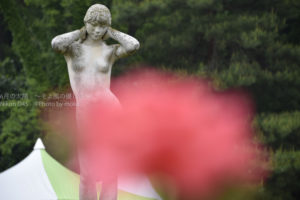 ［6］薔薇の季節恒例、セクシーショット